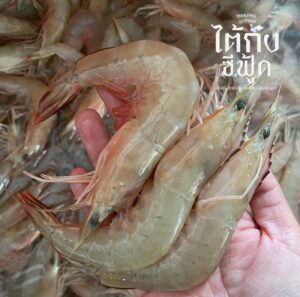 อาหารทะเลสด
